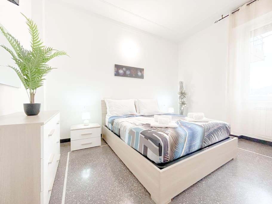 Elegant Apartment - Wifi - Smart Tv - Netflix Janov Exteriér fotografie